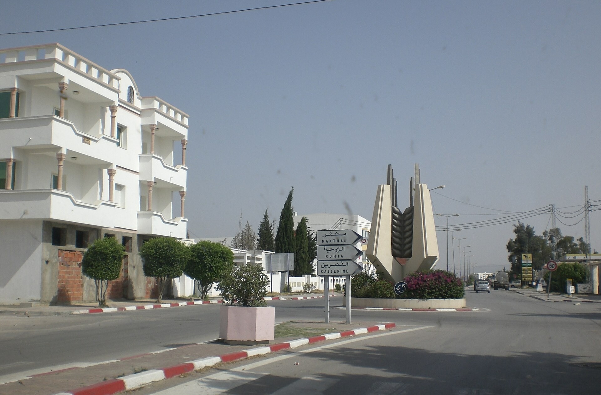 صورة من سليانة